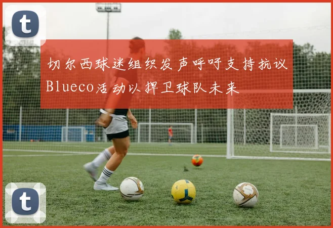 切尔西球迷组织发声呼吁支持抗议Blueco活动以捍卫球队未来